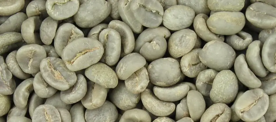 Café verde