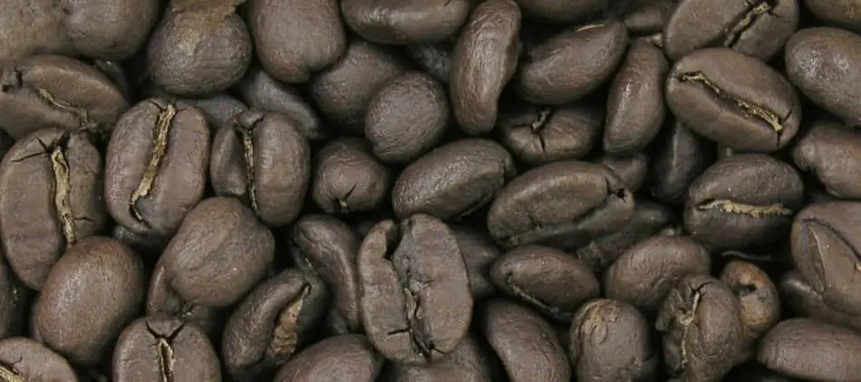 Torra escura